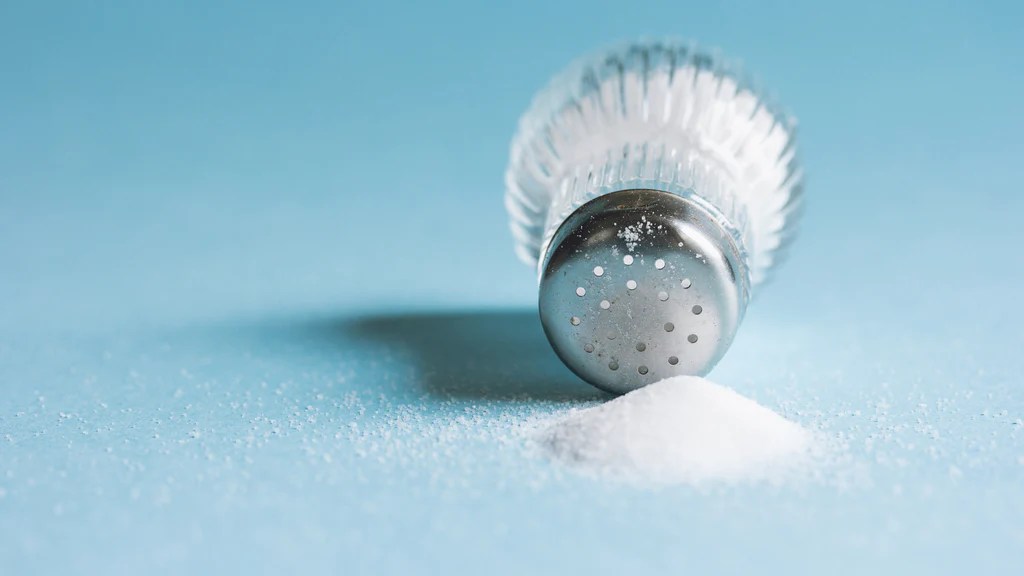 Salt in Homemade Dog Food Is salt bad for dogs? Opal Pets