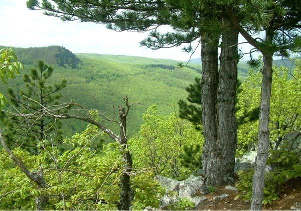 26 27 05 2012 Izlet Na Papuk Slavonija Opd Koper