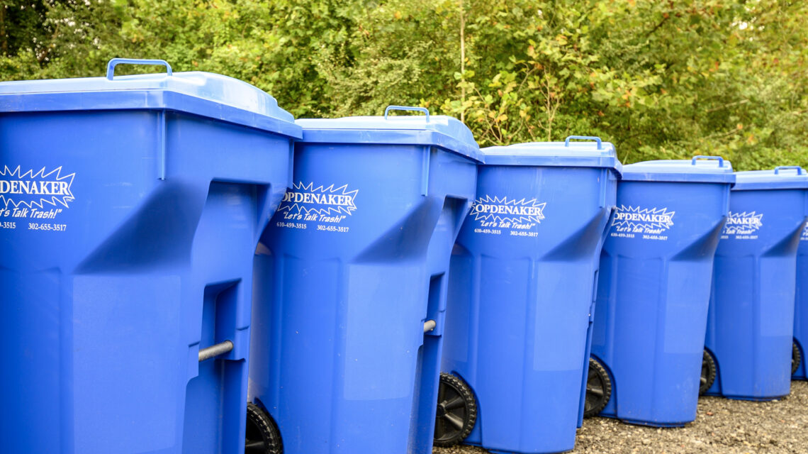 Helpful Tips for Disposing of Yard Waste RT Opdenaker