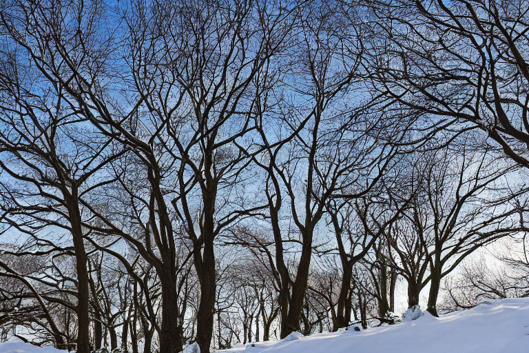 What temperature is too cold for plants? Open Grower