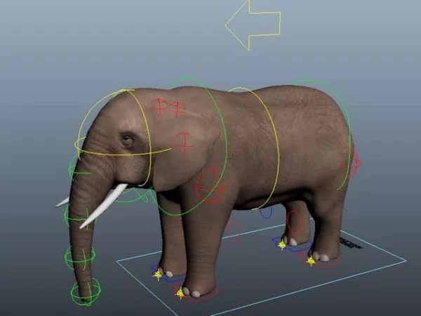 Elephant Rigging Free 3d Model . Open3dModel 114205