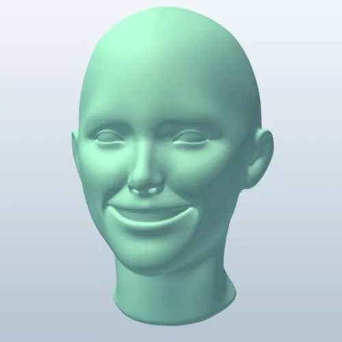 Female Head Sculpt Free 3d Model .Obj, .Stl Open3dModel
