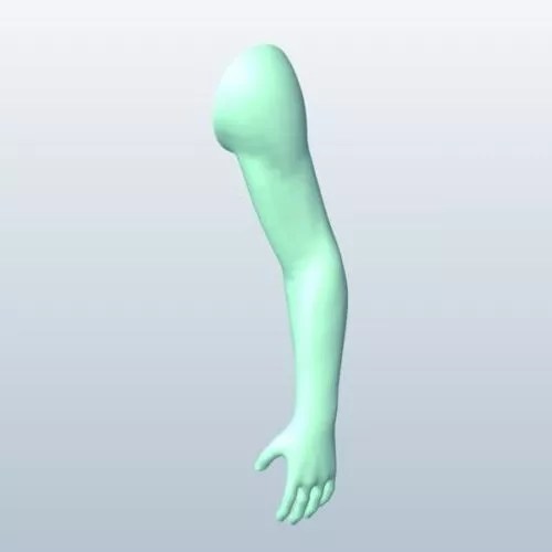Arm Sculpt Free 3d Model .Obj, .Stl Open3dModel