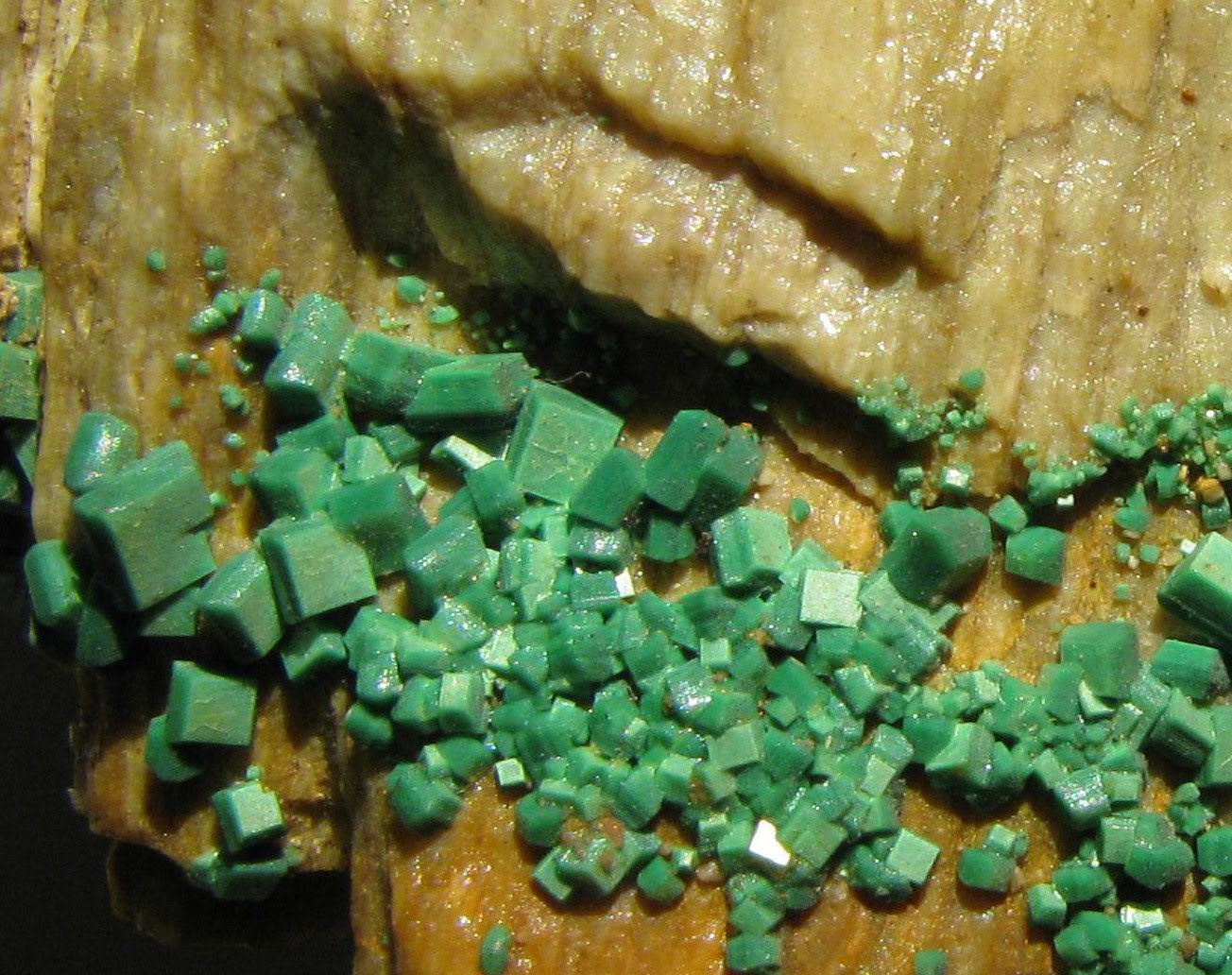 UKRAINE TO INVEST UAH 1.2 BLN IN NOVOKOSTIANTYNIVSKE URANIUM DEPOSIT