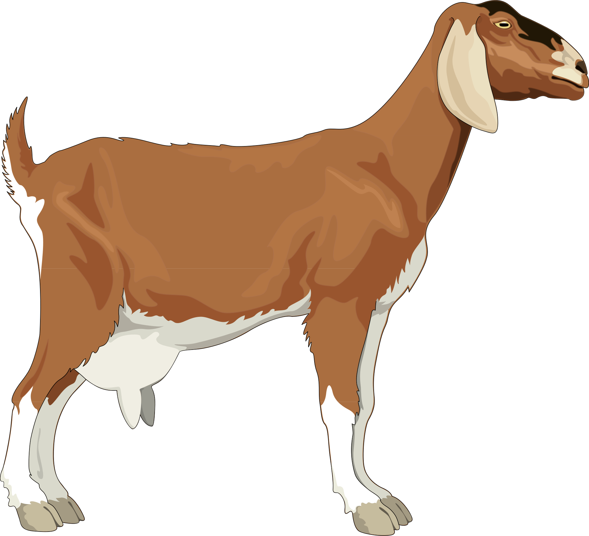 Dairy Goat Clipart