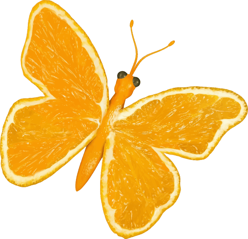 Citrus fruit butterfly (orange) Openclipart