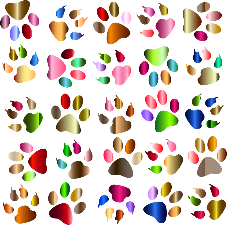 Colorful Paw Prints Pattern Background Reinvigorated No Black