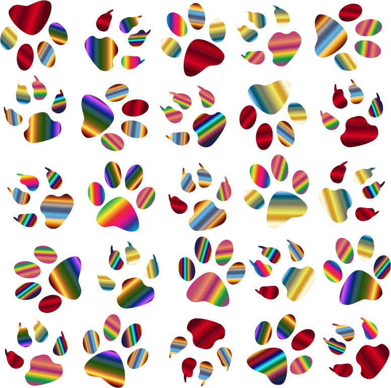 Colorful Paw Prints Pattern Background Reinvigorated 5 No Black