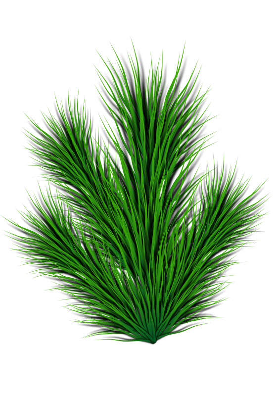 Openclipart Clipping Culture