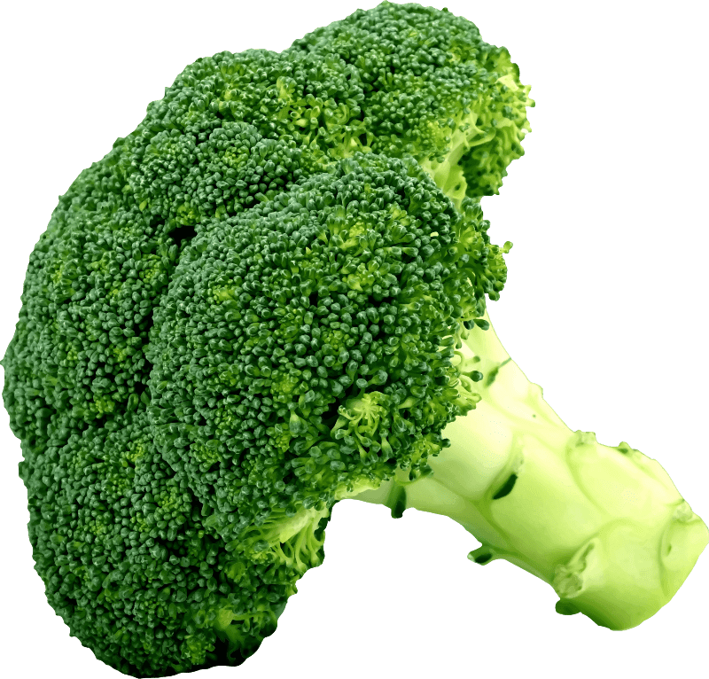 Broccoli - Openclipart