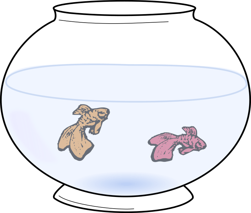 Fish Bowl with Fish Openclipart