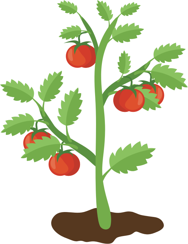 Tomato Plant Openclipart