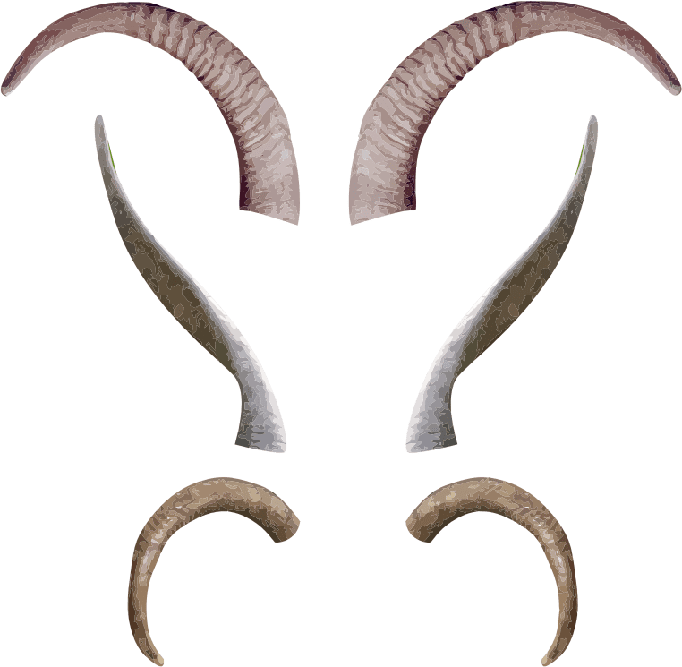 horns antlers body parts Openclipart
