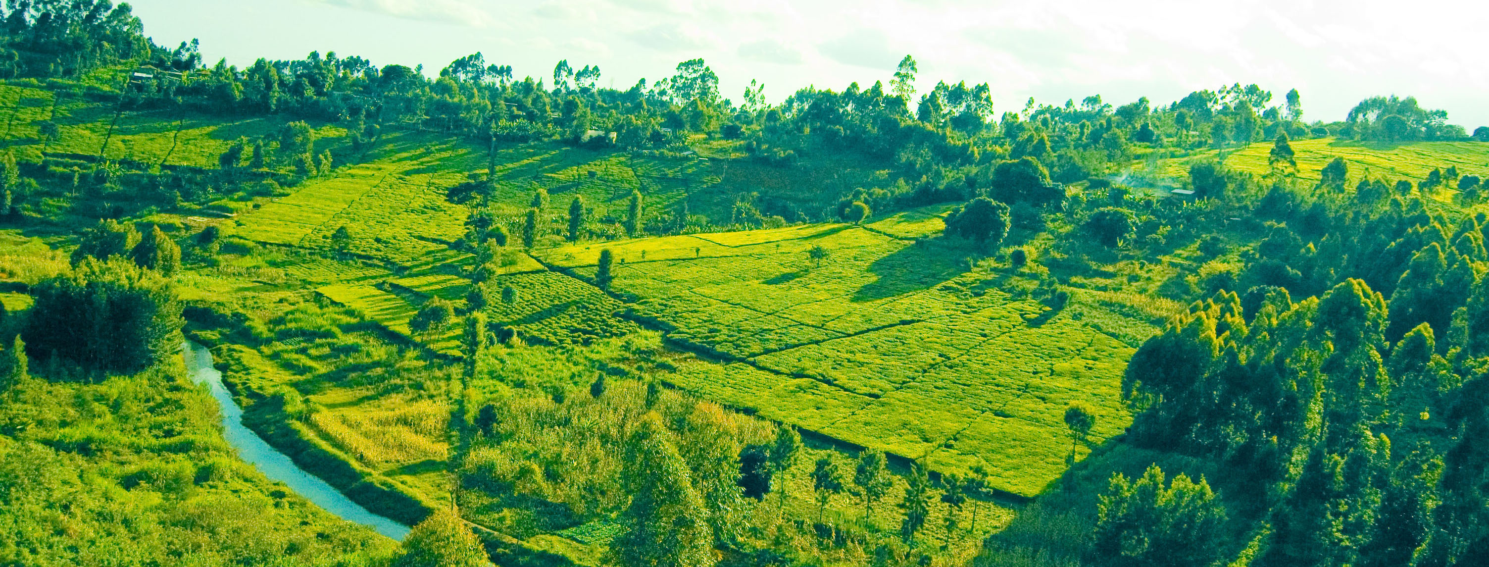 Murang'a County Factsheet Oct 2023 Open County