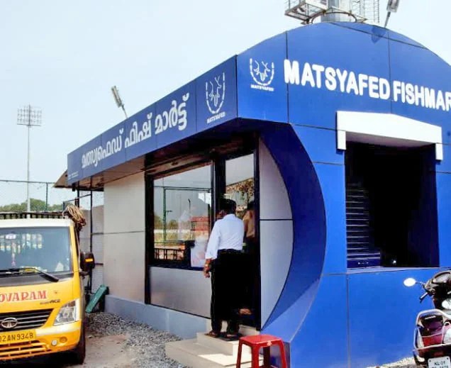 Stale fish menace Govt allows Matsyafed to open more outlets to