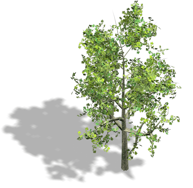 Tree Collection Bleed's Game Art