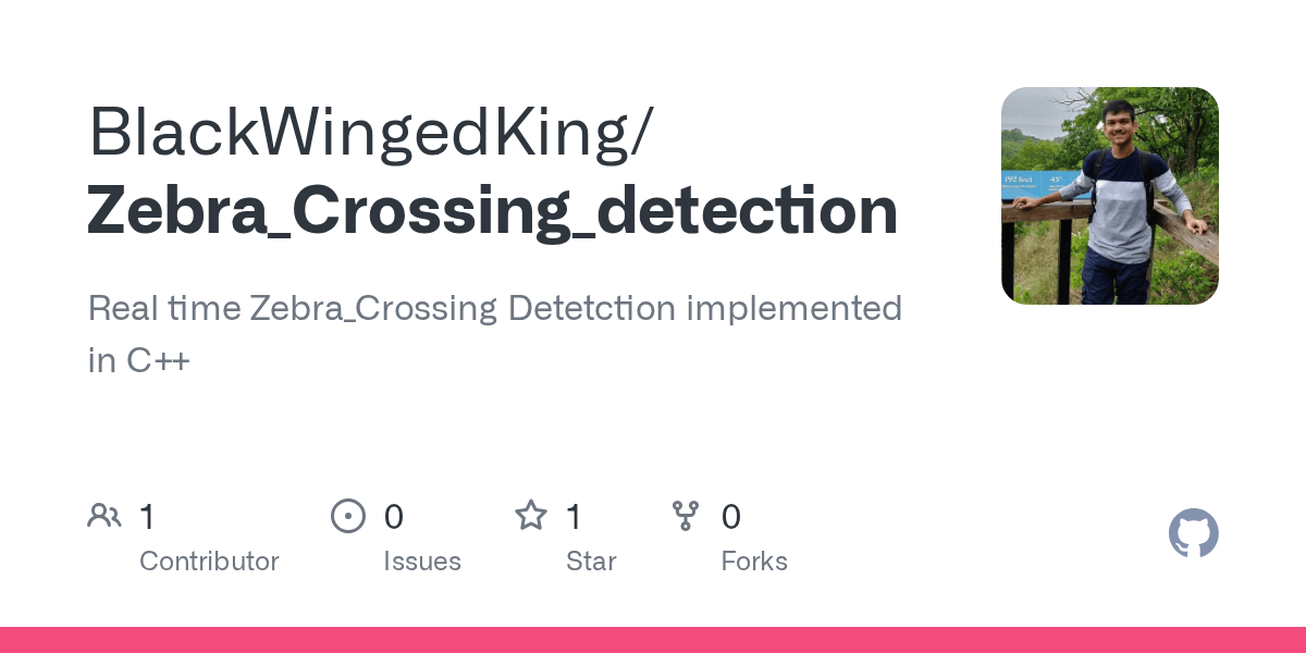 GitHub BlackWingedKing/Zebra_Crossing_detection Real time Zebra
