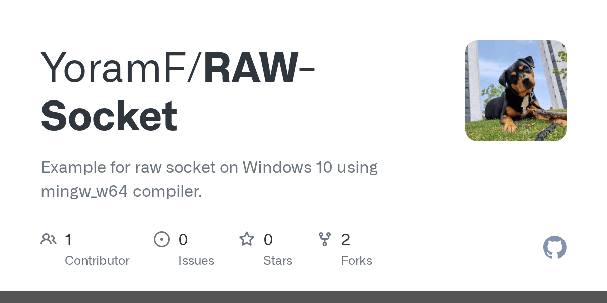 GitHub YoramF/RAWSocket Example for raw socket on Windows 10 using