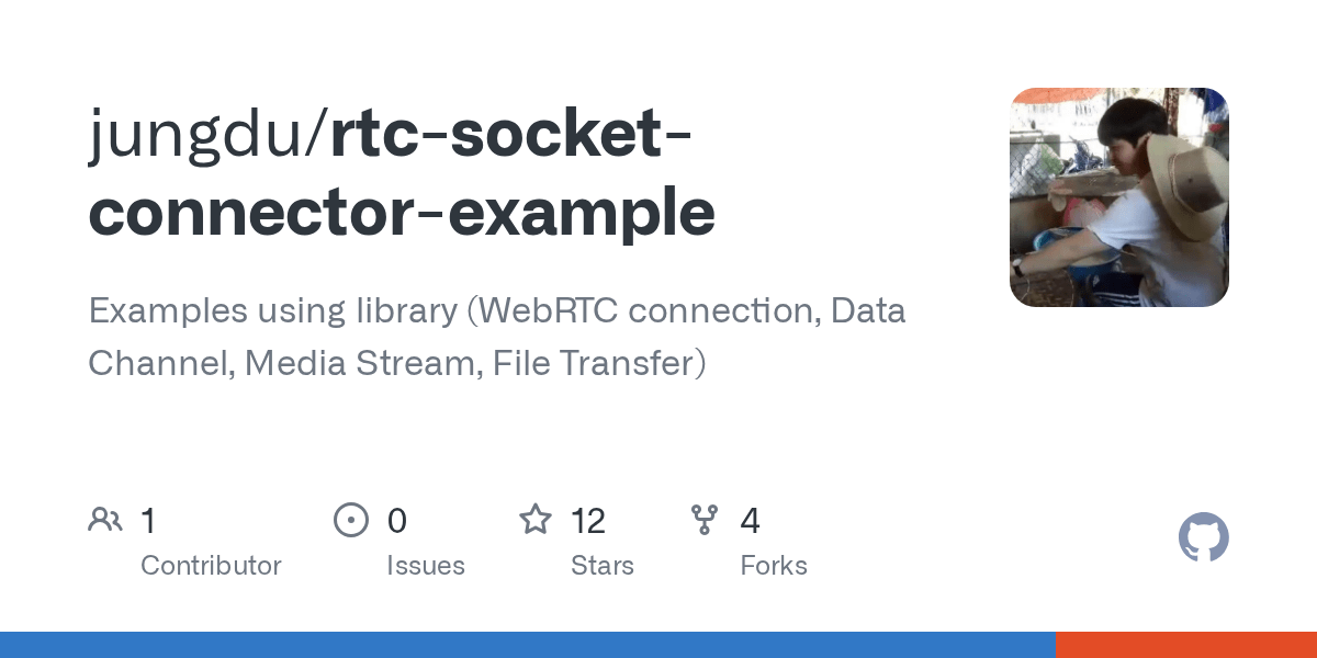 GitHub jungdu/rtcsocketconnectorexample Examples using library