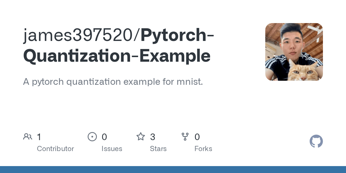 GitHub james397520/PytorchQuantizationExample A pytorch