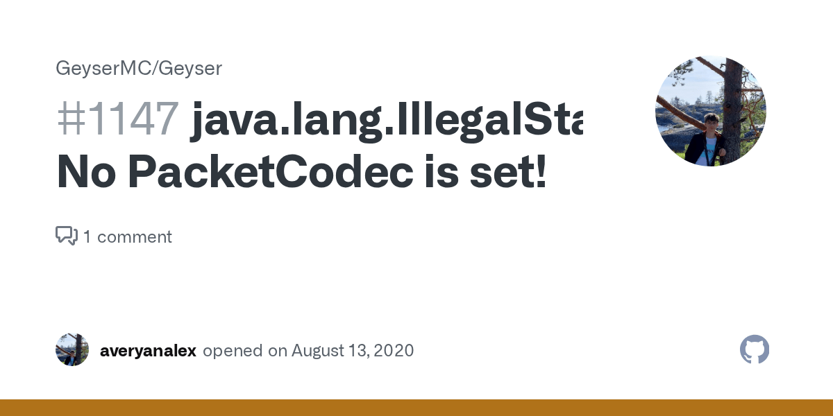java.lang.IllegalStateException No PacketCodec is set! · Issue 1147