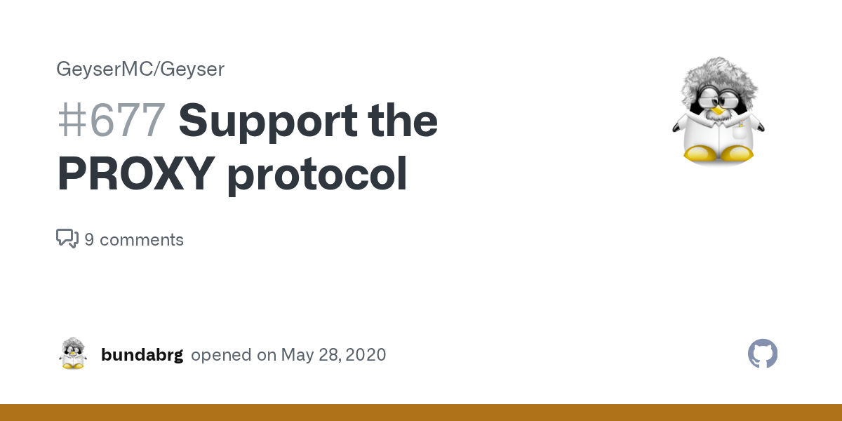 Support the PROXY protocol · Issue 677 · GeyserMC/Geyser · GitHub