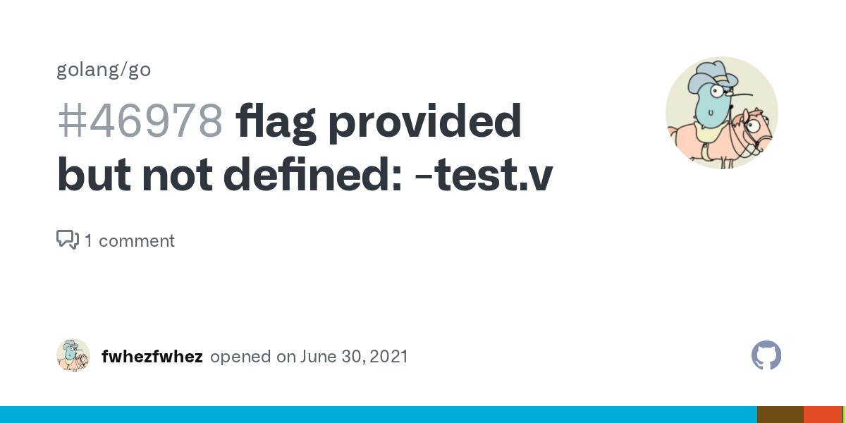 flag provided but not defined test.v · Issue 46978 · golang/go · GitHub