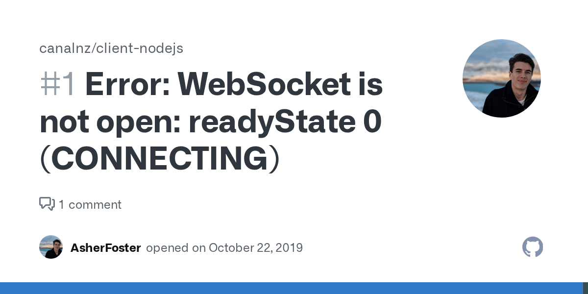 Error Socket is not open readyState 0 (CONNECTING) · Issue 1