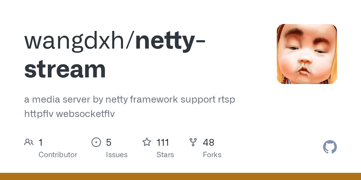 nettystream/H264FrameToFlvByteBuf.java at master ·