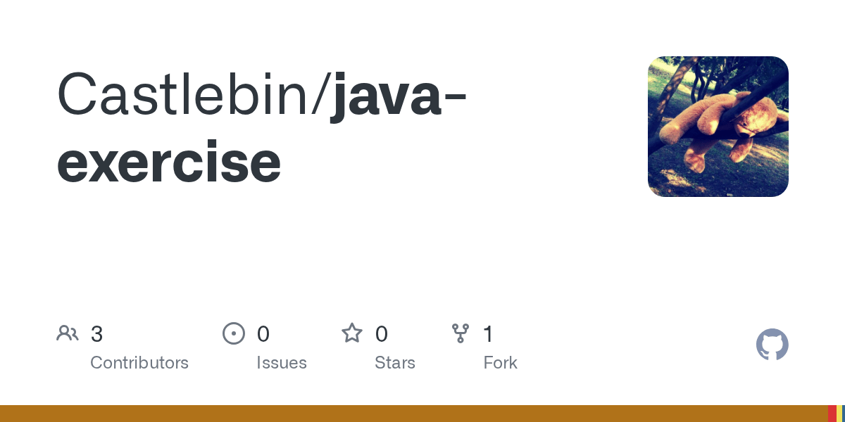 GitHub Castlebin/javaexercise