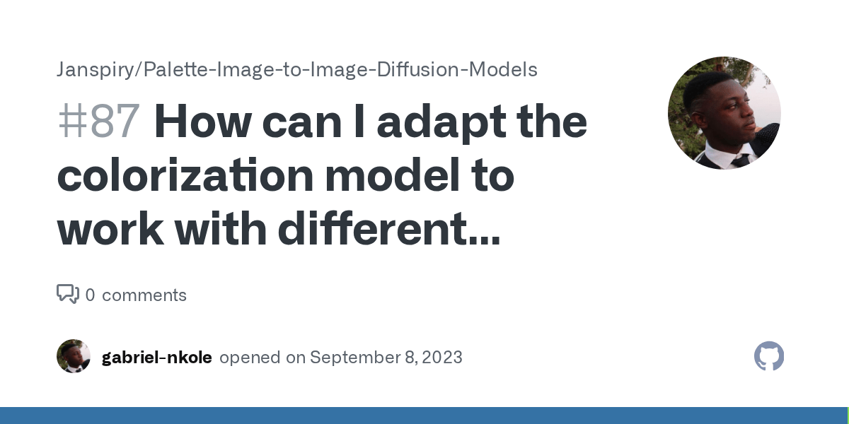 How can I adapt the colorization model to work with different image