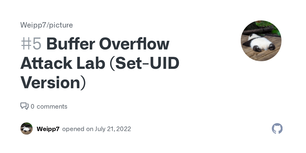 Buffer Overflow Attack Lab (SetUID Version) · Issue 5 · Weipp7