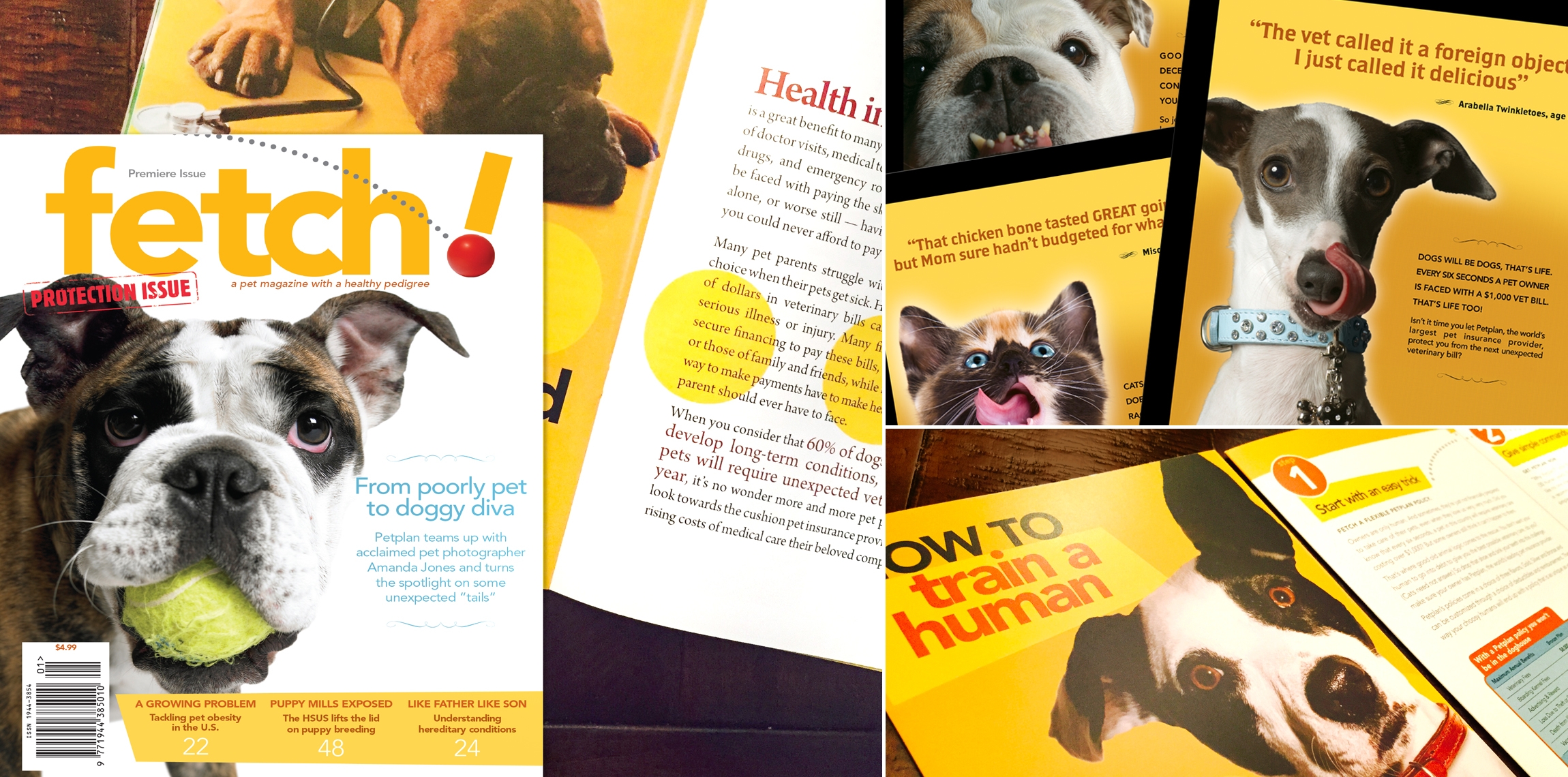 Petplan Print Advertising and Tradeshow Materials