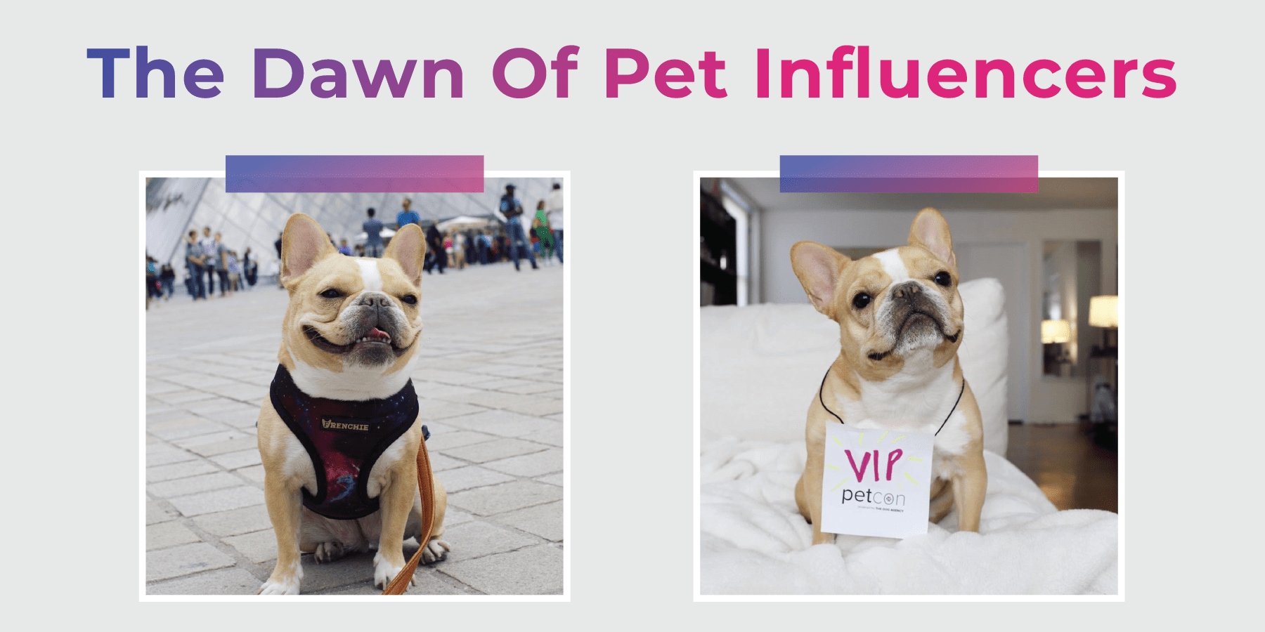 The Effectiveness of Pets in Influencer Marketing Open Influence Inc.