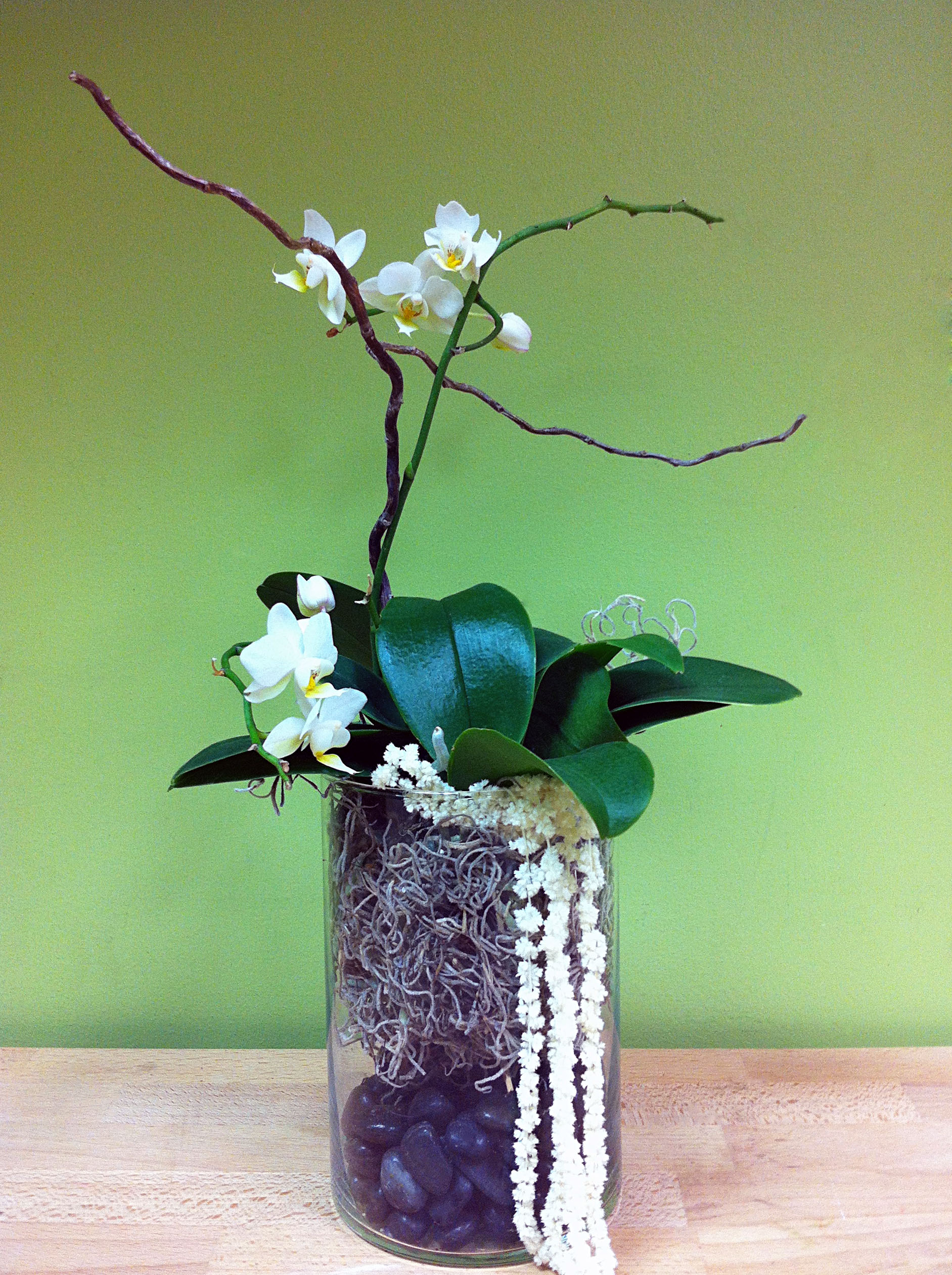 Opening Night Flowers by Nicholas Smith