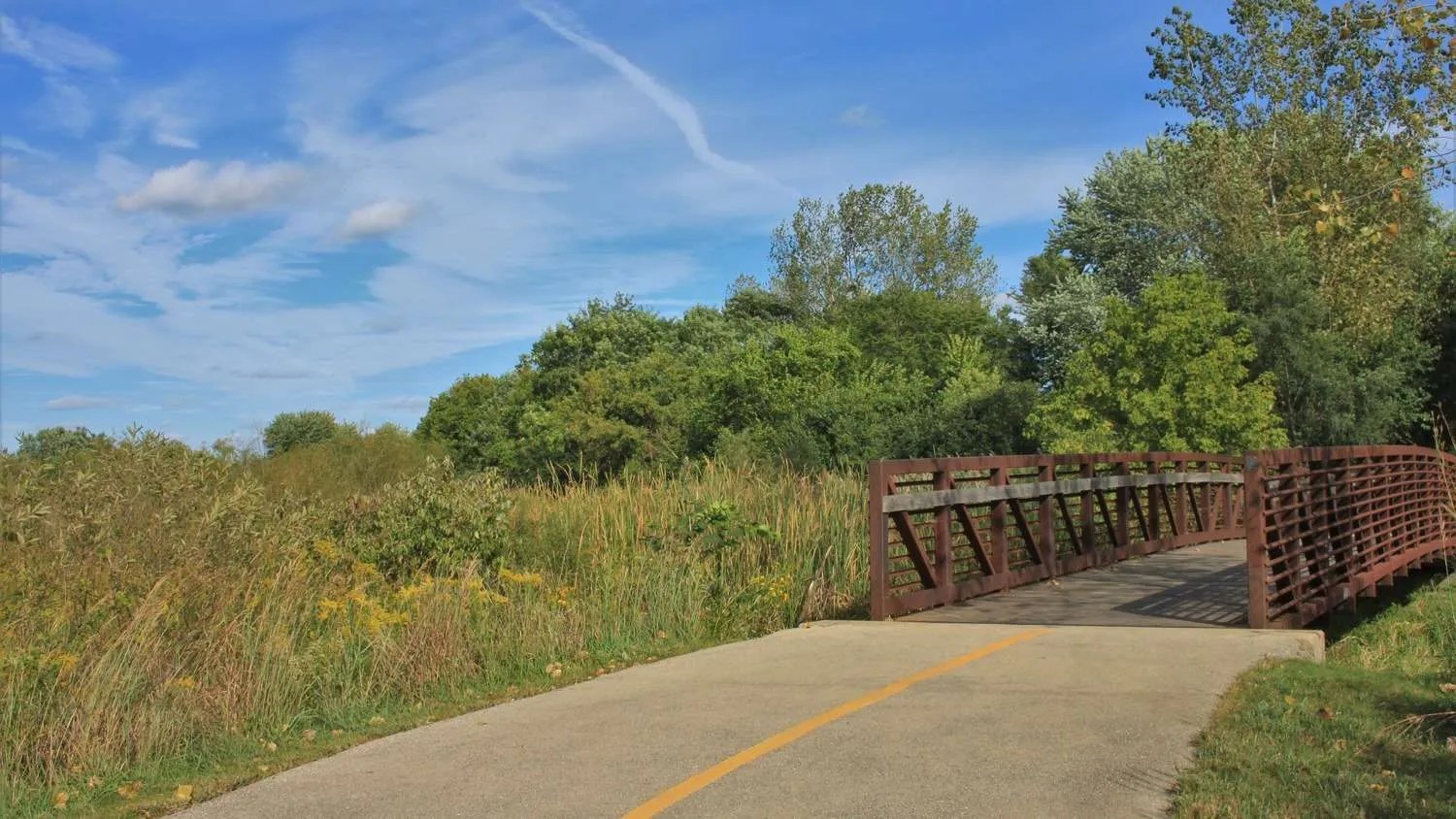 Braidwood Dunes and Savanna Nature Preserve Openlands