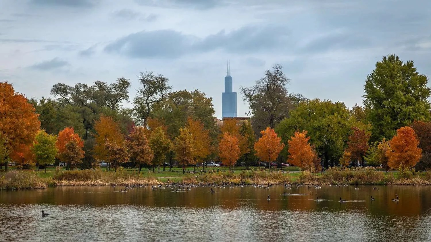 Douglass Park Openlands