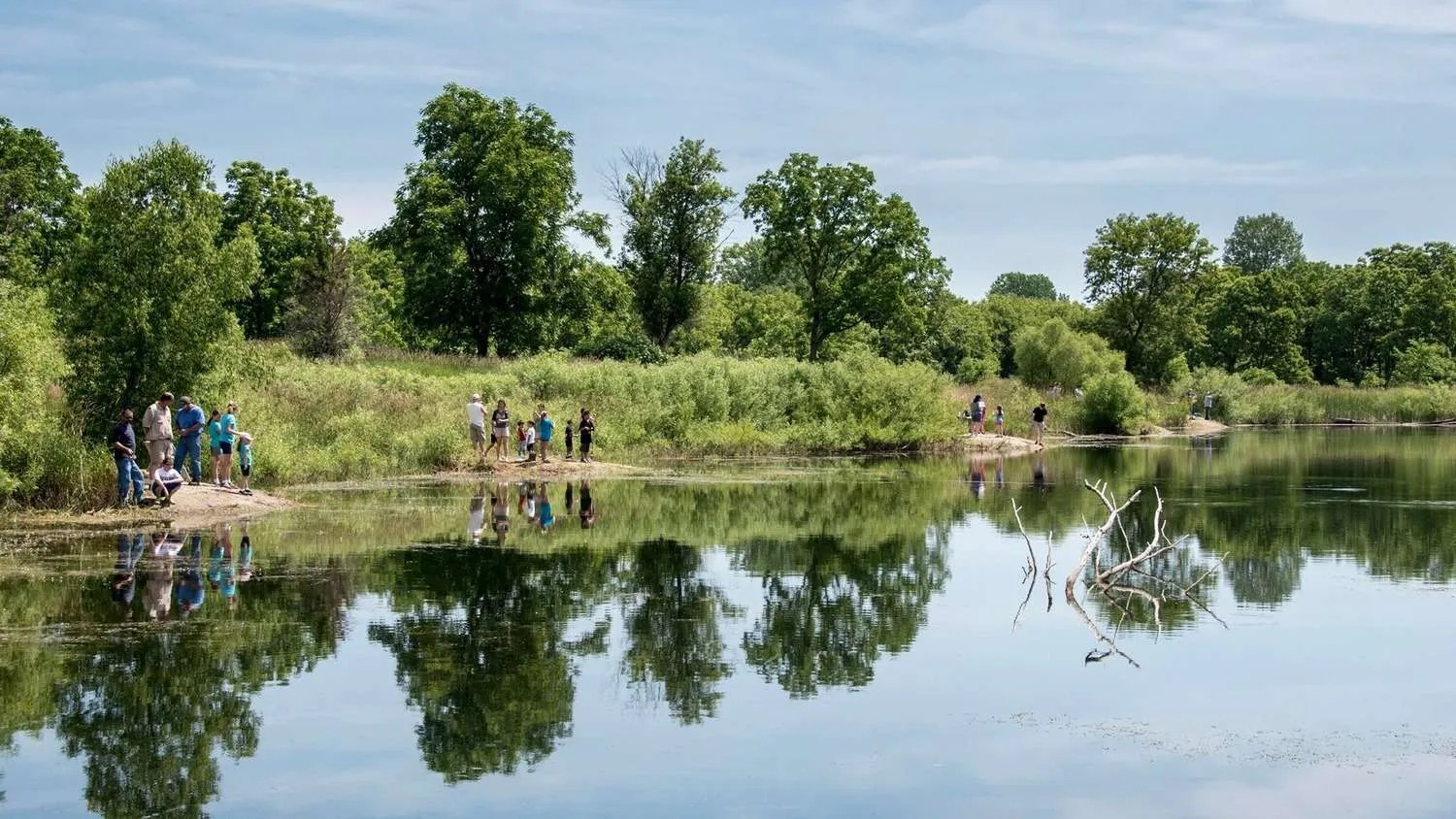 Dufield Pond Conservation Area Openlands