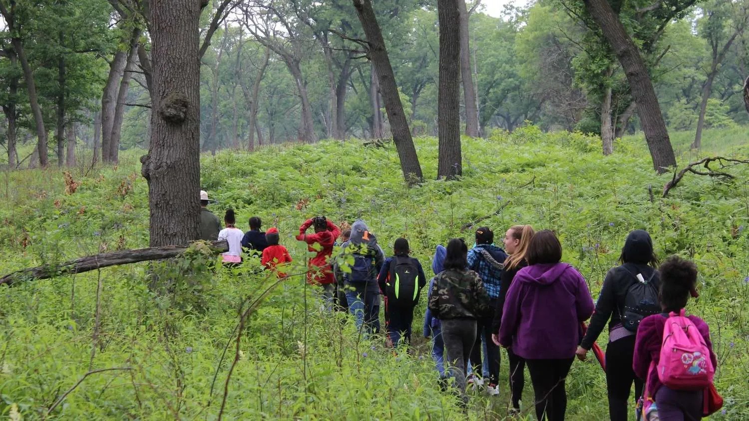 Hidden Oaks Conservation Area Openlands