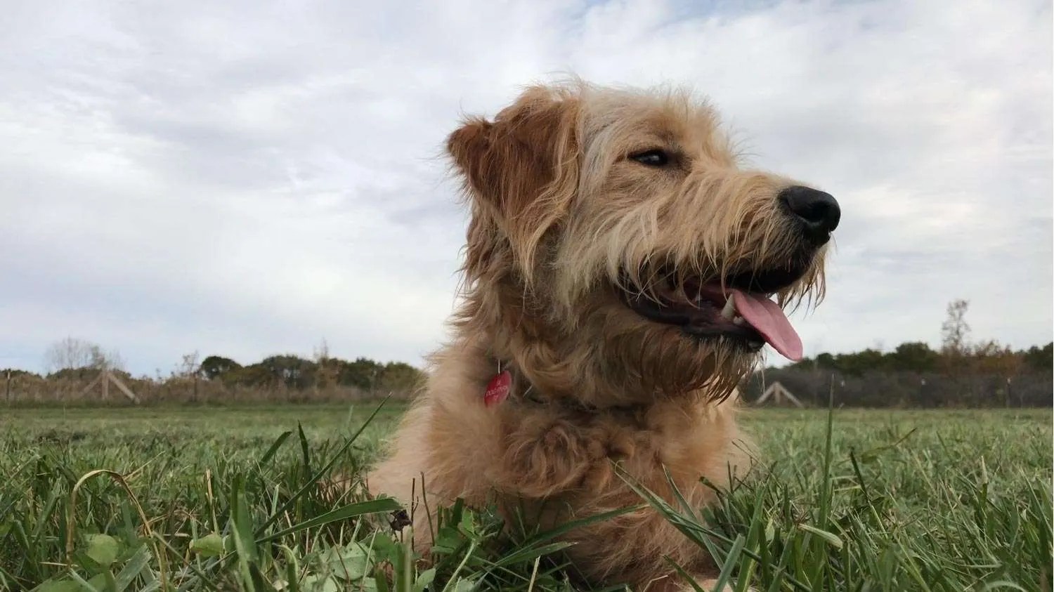 Plum Valley Preserve Openlands