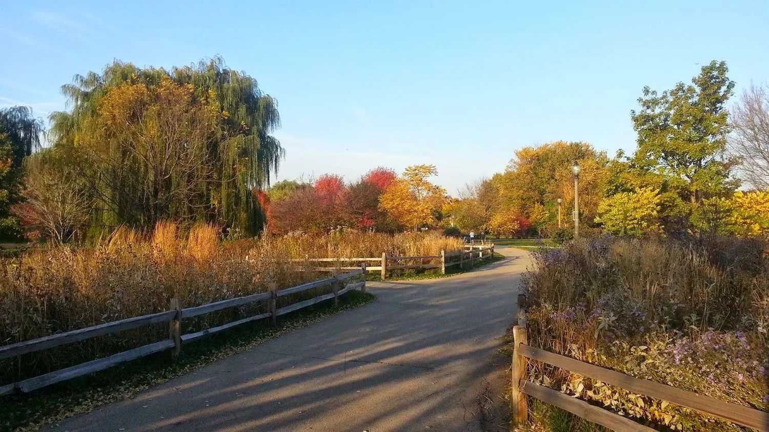 Winnemac Park Openlands