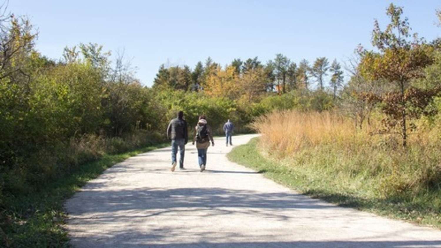 Wood Dale Grove Forest Preserve Openlands