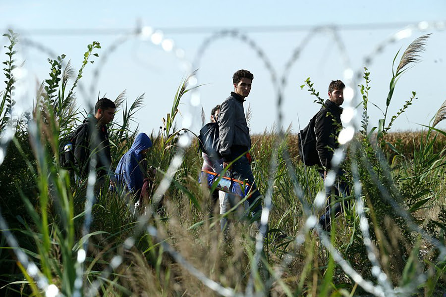 Tales of asylum denied in Europe & beyond ⁄ Open Migration