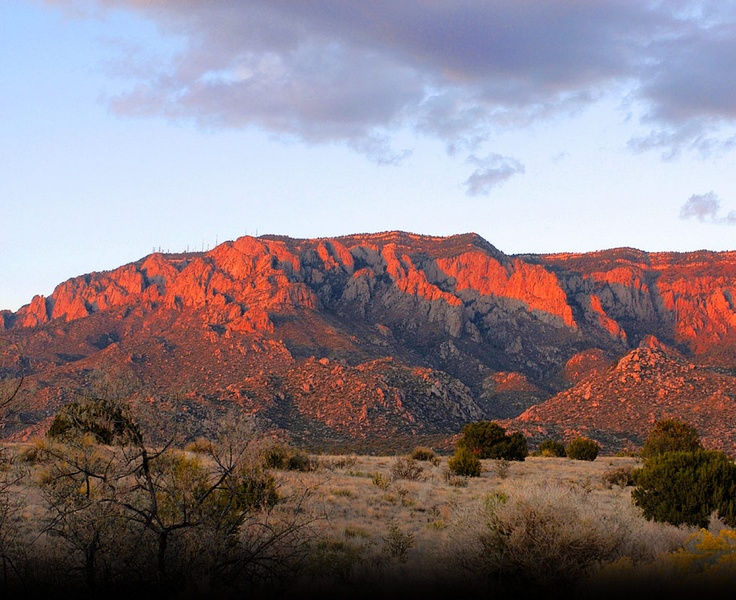 Sold Full acre of Southern NM outdoor paradise Open Plains Properties