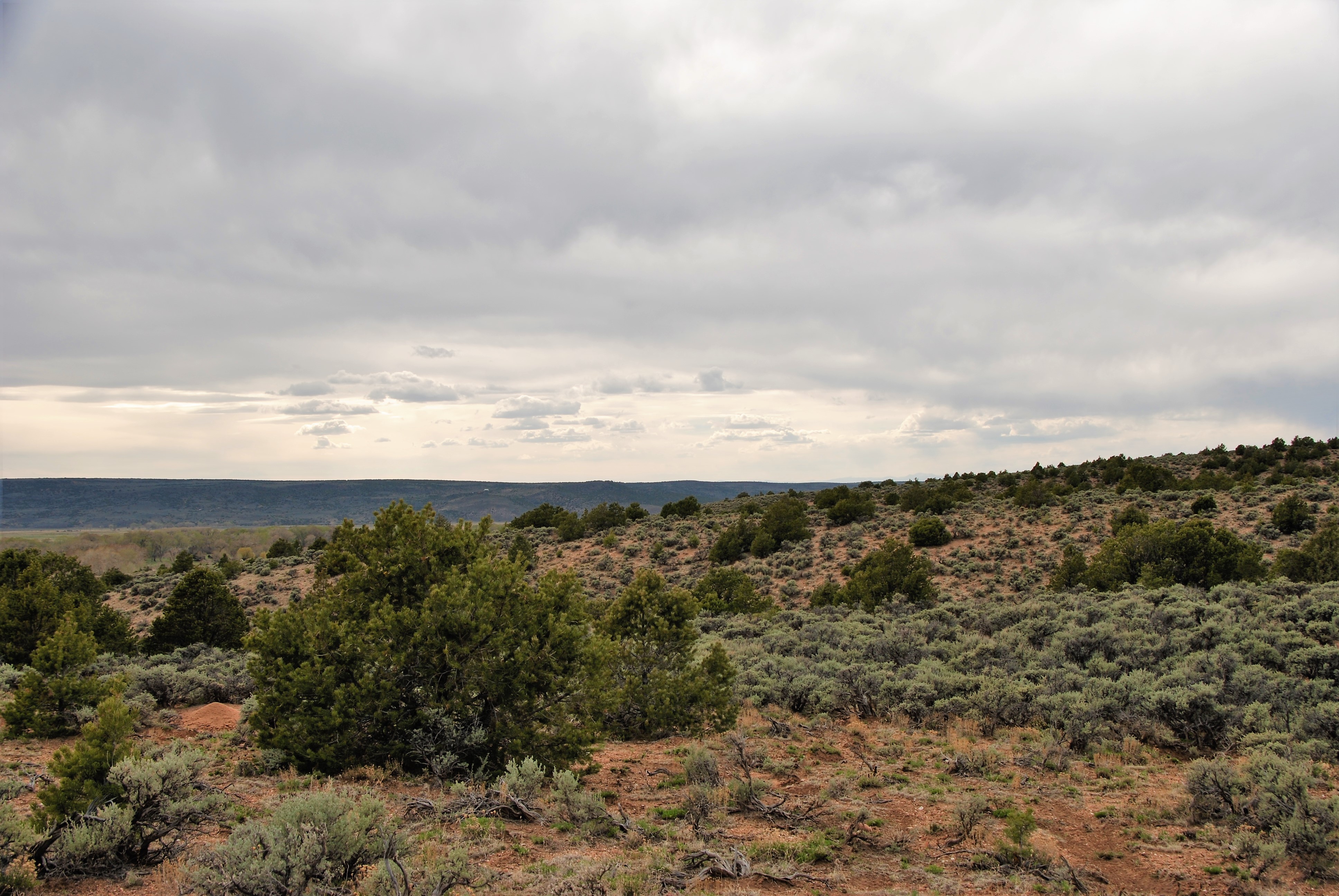 DSC_0890 Open Plains Properties