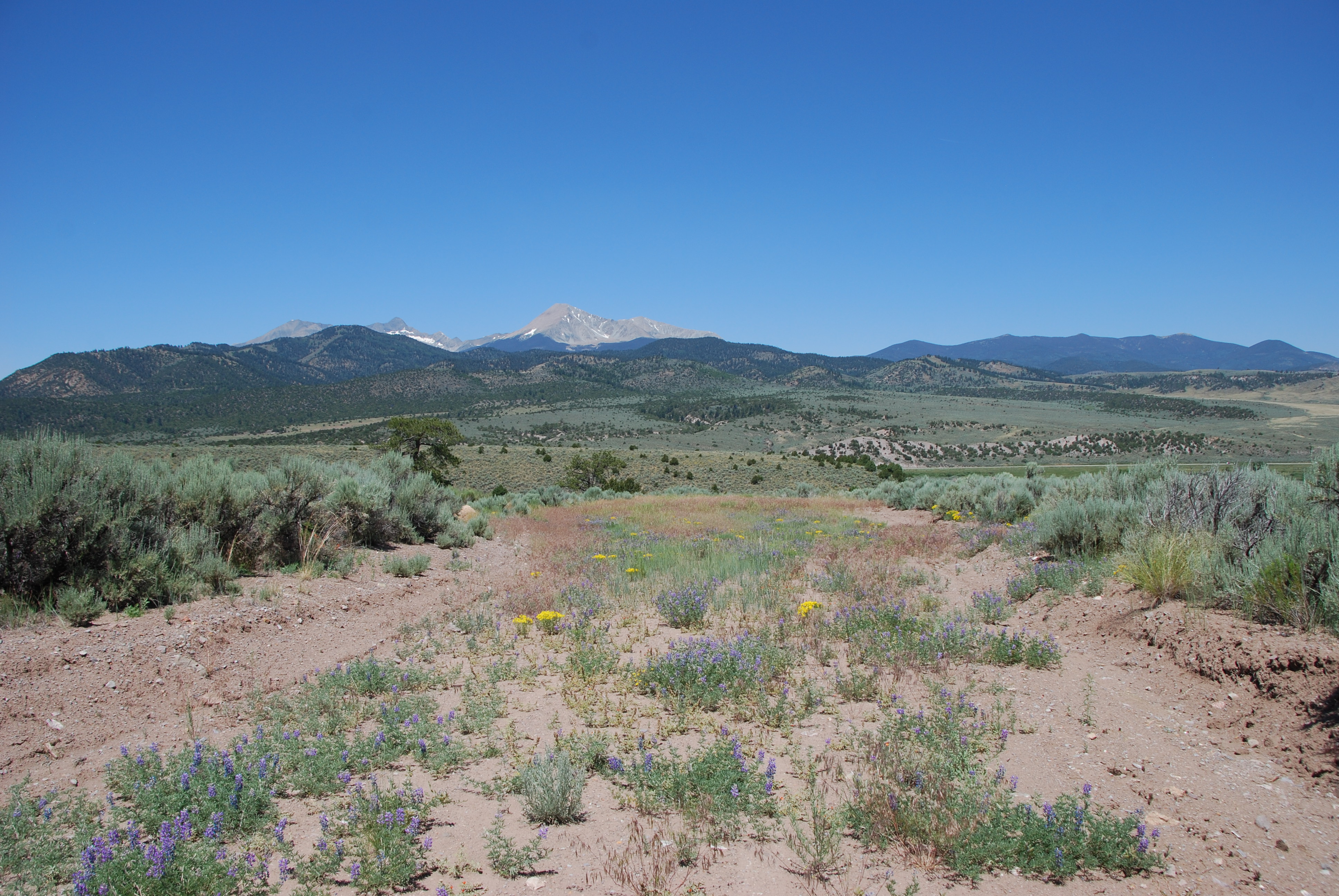DSC_0076 Open Plains Properties