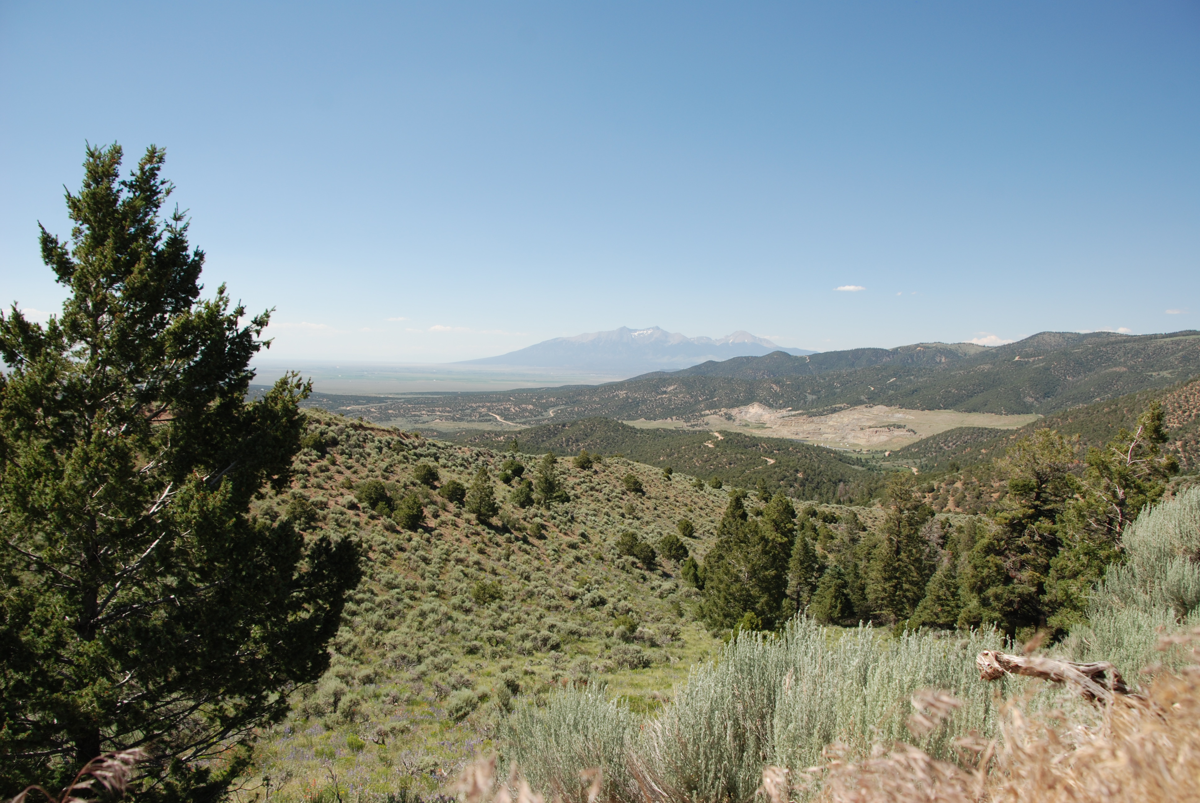 DSC_0189 Open Plains Properties
