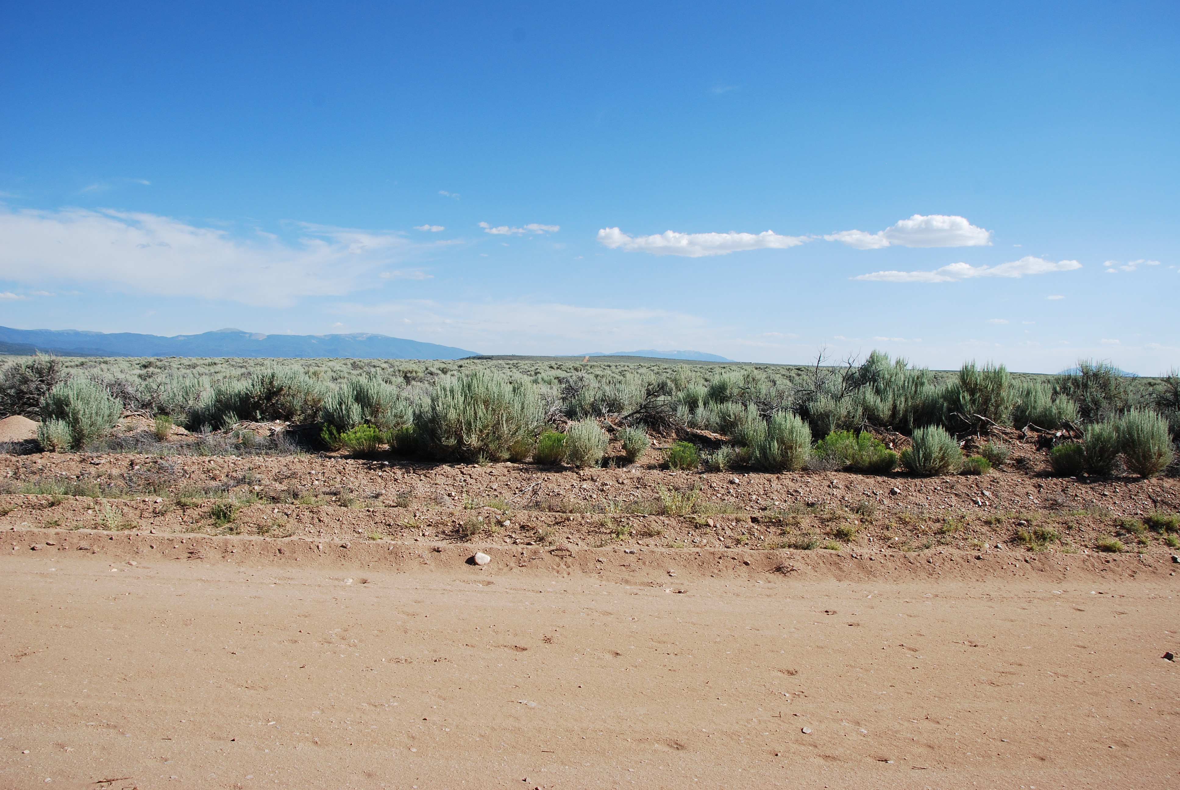 DSC_0247 Open Plains Properties