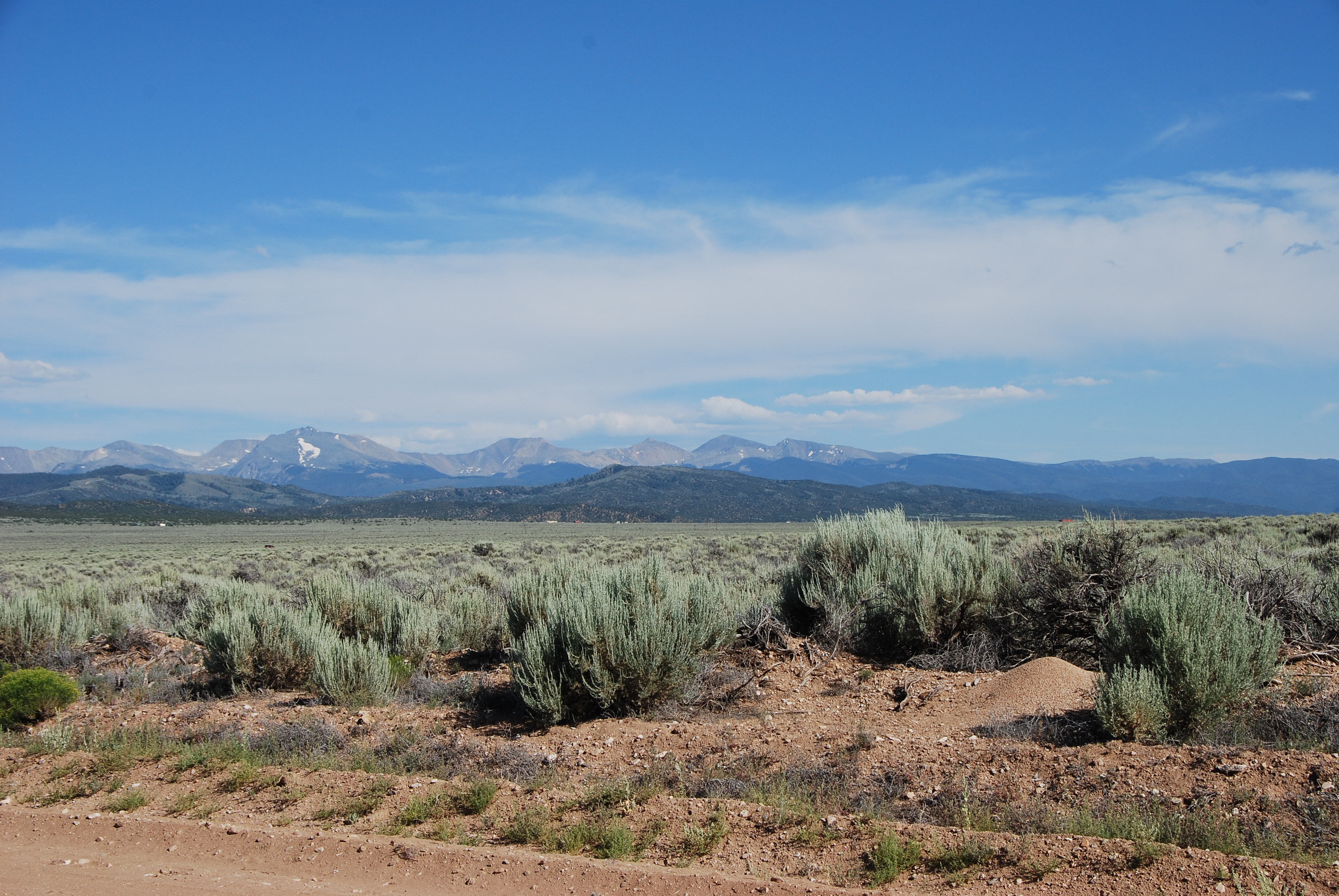 DSC_0248 Open Plains Properties
