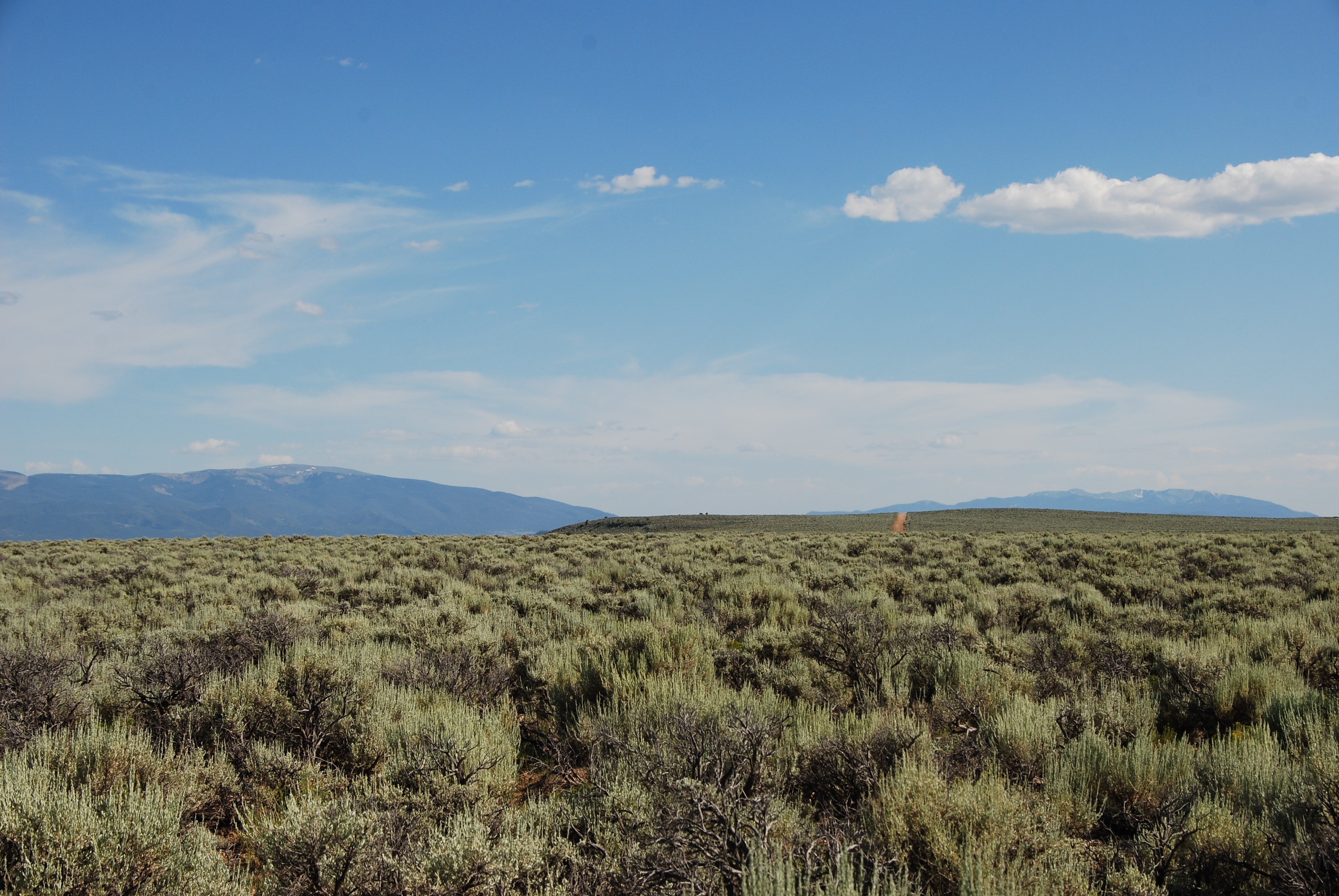 DSC_0255 Open Plains Properties